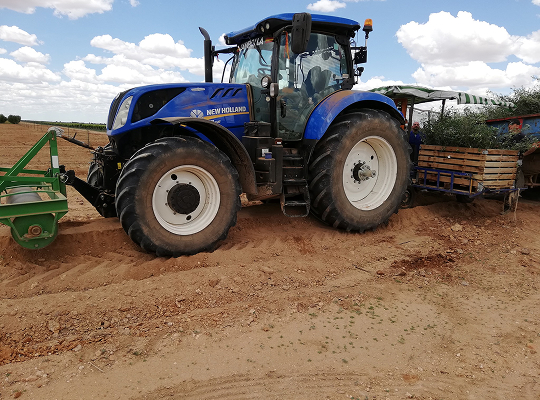 sobre nosotros images 1